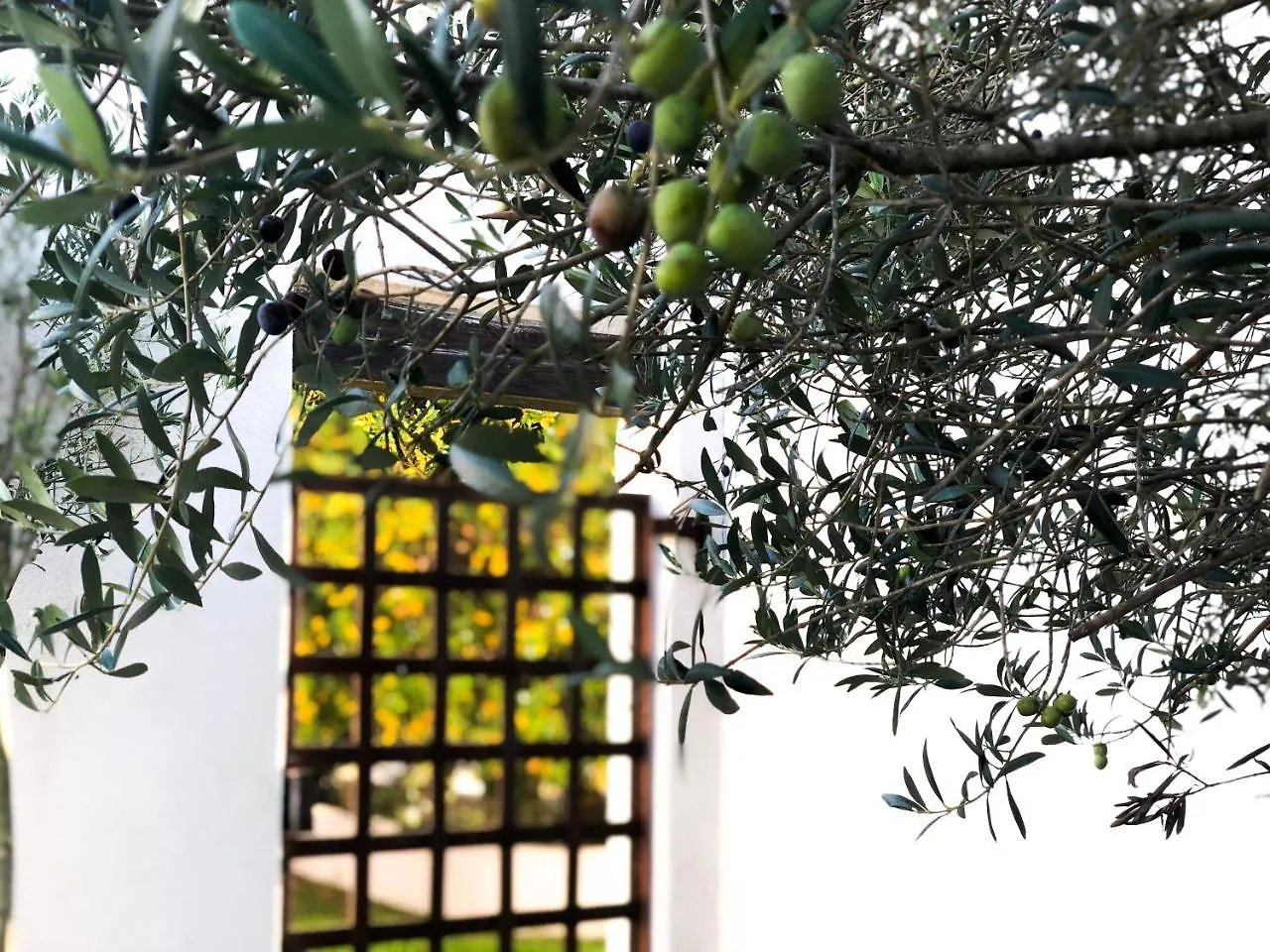 Mas Le Sauvageon Hotel Saintes-Maries-de-la-Mer